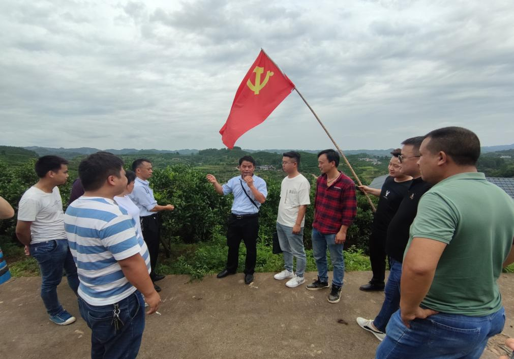 图片1.png 图片1.png