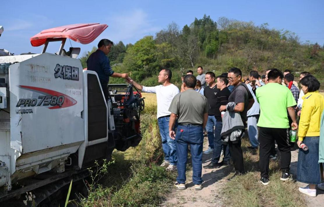 图片3.png 图片3.png